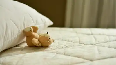 Pixabay, фото - Новости Zakon.kz от 03.02.2020 18:11