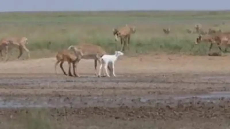 , фото - Новости Zakon.kz от 13.12.2023 12:18