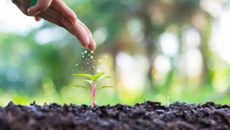 Новый комитет создан в Казахстане