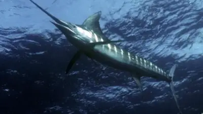 Zakon.kz, фото - Новости Zakon.kz от 01.06.2015 15:32