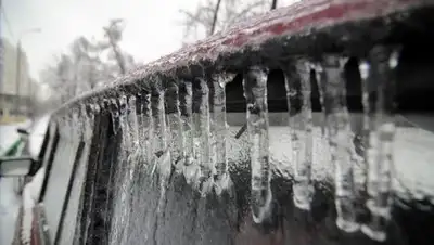 webpark.ru, фото - Новости Zakon.kz от 19.01.2019 09:29