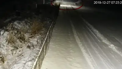 YouTube, фото - Новости Zakon.kz от 02.01.2020 20:01