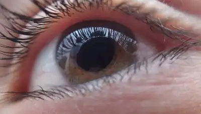 pixabay, фото - Новости Zakon.kz от 12.02.2019 10:08