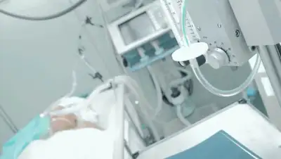 azattyq-ruhy.kz, фото - Новости Zakon.kz от 01.06.2020 17:59