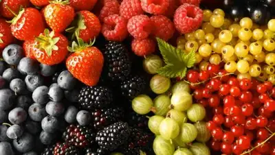 Zakon.kz, фото - Новости Zakon.kz от 03.07.2017 16:26