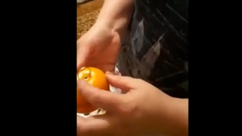 Жители села в Акмолинской области искали золото в мандаринах