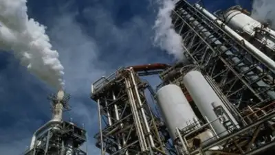 Zakon.kz, фото - Новости Zakon.kz от 14.03.2017 20:41