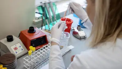 Bem Mais Brasília, фото - Новости Zakon.kz от 01.07.2020 21:43