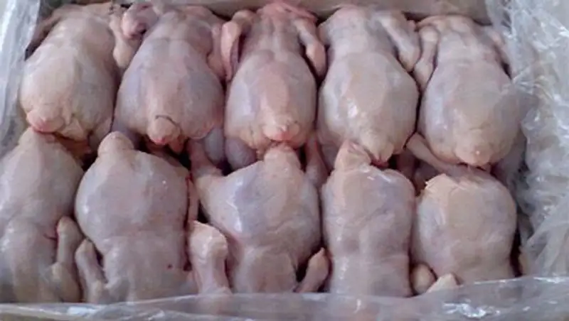 Продукция птицеводства из России, Белоруссии, Украины оказалась не самого лучшего качества