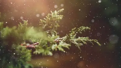 Казахстанцам обещают теплую зиму, фото - Новости Zakon.kz от 17.10.2023 11:25