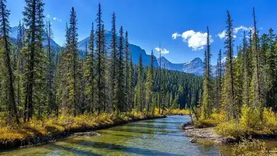 нацпарк, благоустройство, природа, фото - Новости Zakon.kz от 08.12.2021 14:24