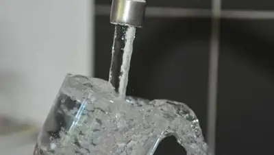 Pixabay, фото - Новости Zakon.kz от 14.10.2020 18:27