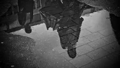 Pixabay, фото - Новости Zakon.kz от 15.06.2019 09:50