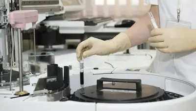 Pixabay, фото - Новости Zakon.kz от 28.03.2020 16:00