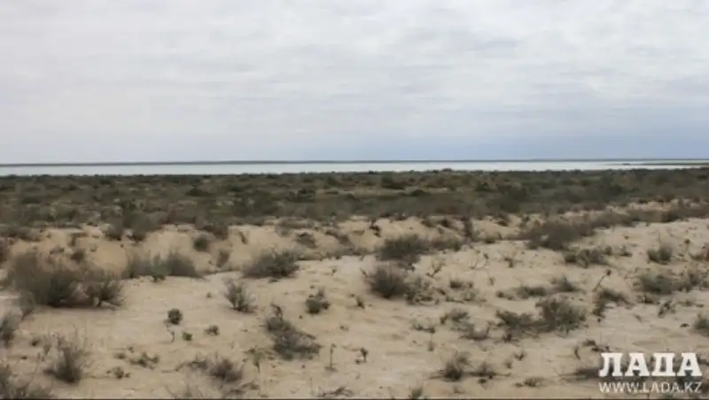 В Мангистау обнаружили обглоданный животными труп мужчины