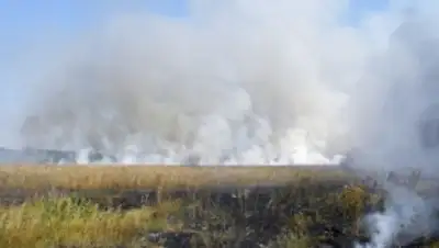 Zakon.kz, фото - Новости Zakon.kz от 19.07.2015 21:44