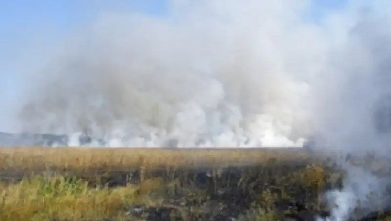 В Павлодарской области из-за жары загорелась степь