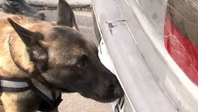 Zakon.kz, фото - Новости Zakon.kz от 08.02.2016 17:01