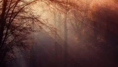 pixabay.com, фото - Новости Zakon.kz от 16.10.2021 21:09