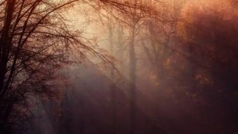 Ветер и туман ожидаются в Казахстане