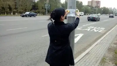 Zakon.kz, фото - Новости Zakon.kz от 12.06.2017 21:08