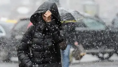 Zakon.kz, фото - Новости Zakon.kz от 25.11.2017 16:29