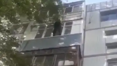 polisia.kz, фото - Новости Zakon.kz от 14.05.2020 21:04