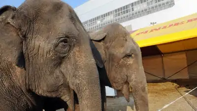 Zakon.kz, фото - Новости Zakon.kz от 21.11.2014 23:50