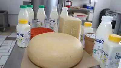 молочная продукция, фото - Новости Zakon.kz от 22.07.2023 13:10