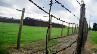 pxhere.com, фото - Новости Zakon.kz от 13.03.2019 15:31