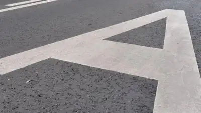 из открытых источников, фото - Новости Zakon.kz от 01.03.2018 19:05