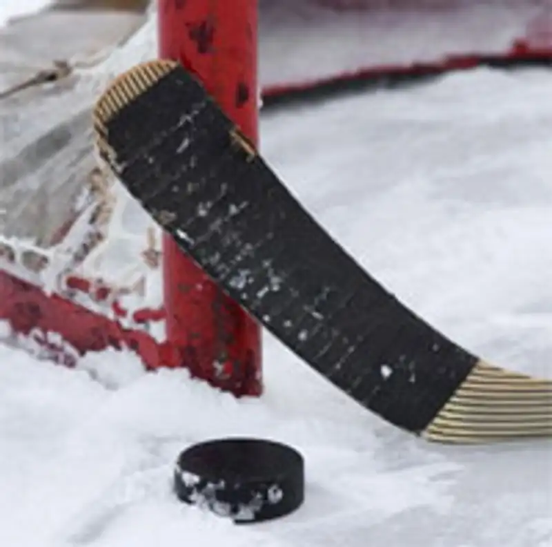 Сборная РК по хоккею на ЧМ обыграла британцев, фото - Новости Zakon.kz от 16.04.2013 14:43