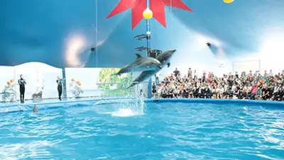 Zakon.kz, фото - Новости Zakon.kz от 13.05.2015 15:54