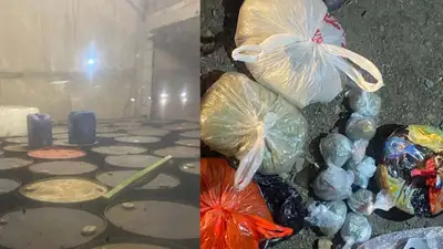 Больше 72 тонн сырья для наркотиков нашли полицейские у группы преступников , фото - Новости Zakon.kz от 24.03.2023 08:31