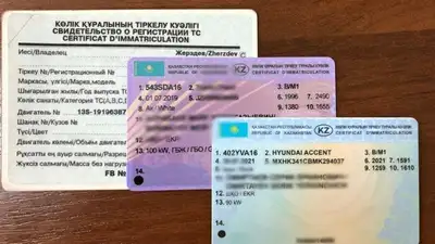 Можно ли ездить в Казахстане с правами, полученными в другой стране, фото - Новости Zakon.kz от 31.08.2023 16:54
