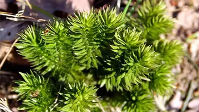 Zakon.kz, фото - Новости Zakon.kz от 20.11.2015 23:20