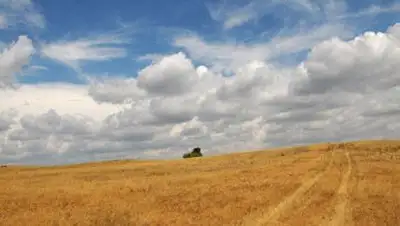 Zakon.kz, фото - Новости Zakon.kz от 05.08.2014 04:03