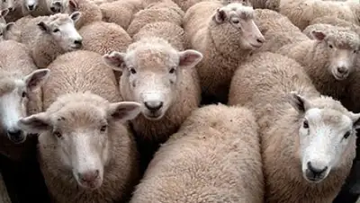 Zakon.kz, фото - Новости Zakon.kz от 13.09.2016 04:47