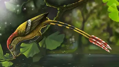 Zakon.kz, фото - Новости Zakon.kz от 04.06.2015 00:35