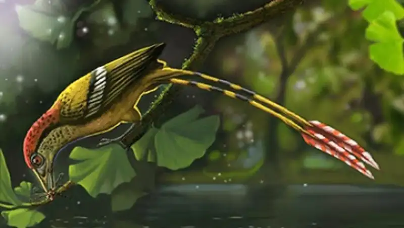 В Бразилии нашли первую птицу Гондваны