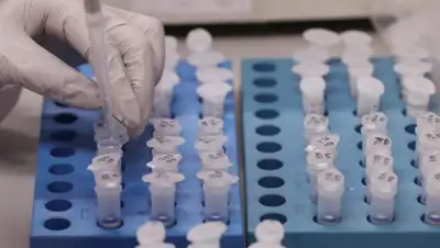 Укрінформ, фото - Новости Zakon.kz от 29.03.2020 16:37