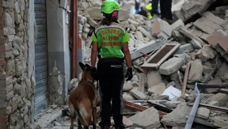 Число жертв землетрясения в Италии достигло 45 человек