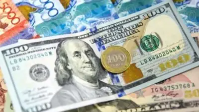 Advooc, фото - Новости Zakon.kz от 27.11.2018 16:34