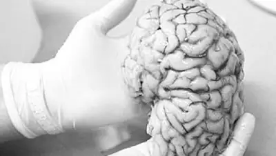 Zakon.kz, фото - Новости Zakon.kz от 20.08.2015 06:54