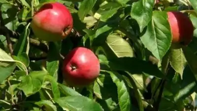 Zakon.kz, фото - Новости Zakon.kz от 11.05.2017 20:43