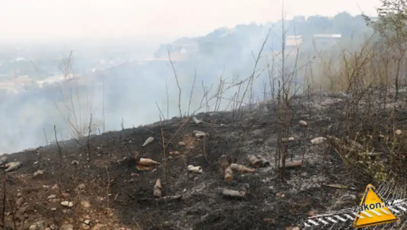 Подробности пожара на склоне горы в Алматы рассказали в ДЧС
