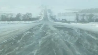 Zakon.kz, фото - Новости Zakon.kz от 20.02.2016 01:41