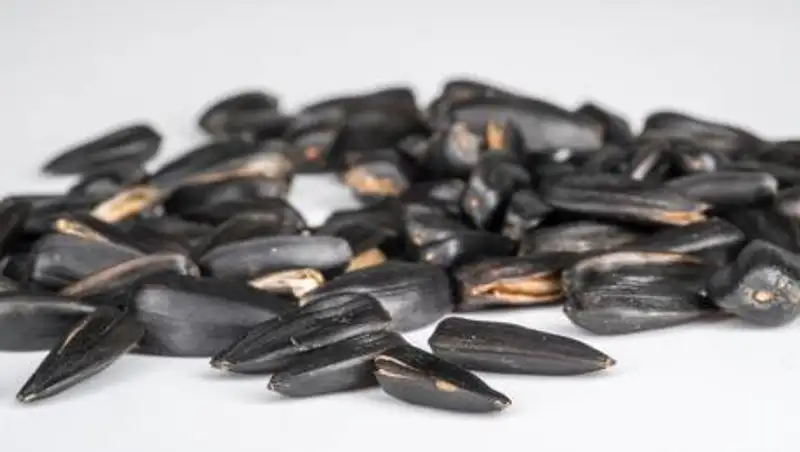 Чем опасны семечки