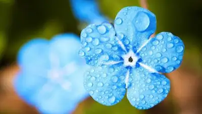 pixabay.com, фото - Новости Zakon.kz от 15.07.2021 18:46