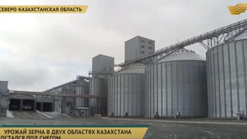 Урожай зерна в двух областях страны остался под снегом